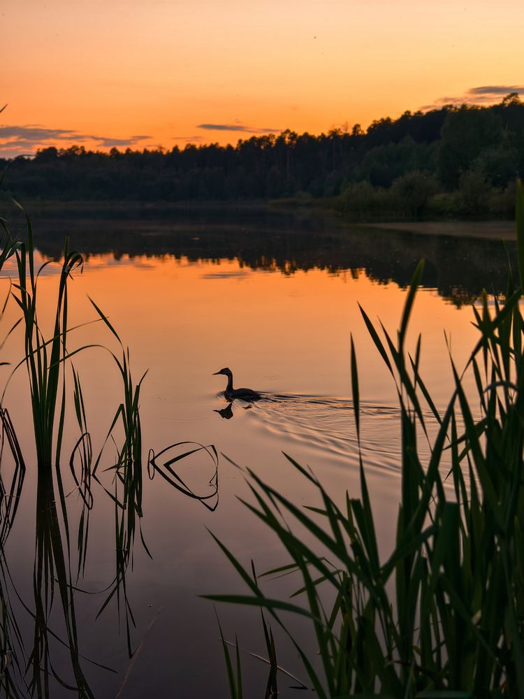 Photograph by Гузель Гнилорыбова