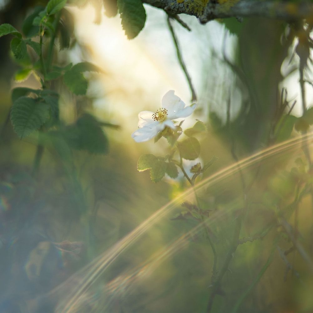 Photograph by Наталья Шумиловская