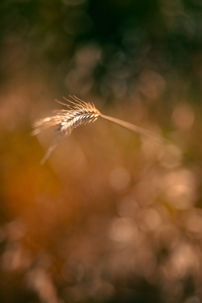 Photograph by Наталья Шумиловская