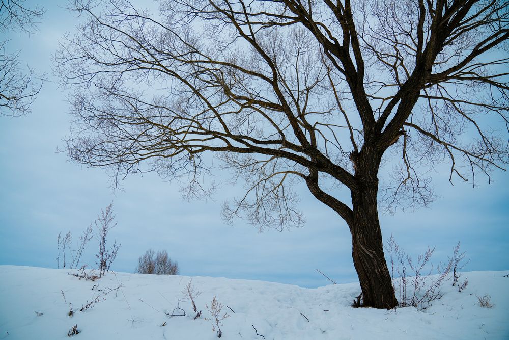 Photograph by Натали Захарова (Тай)