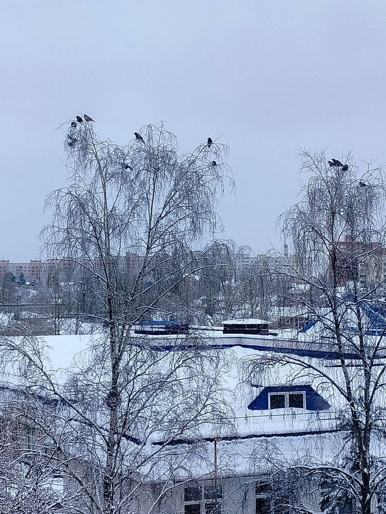 Photograph by Наталья Драгун