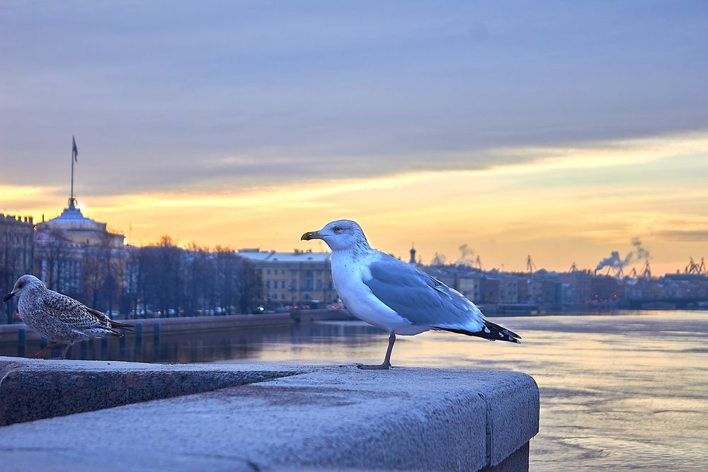 Photograph by Наталья Шевелева