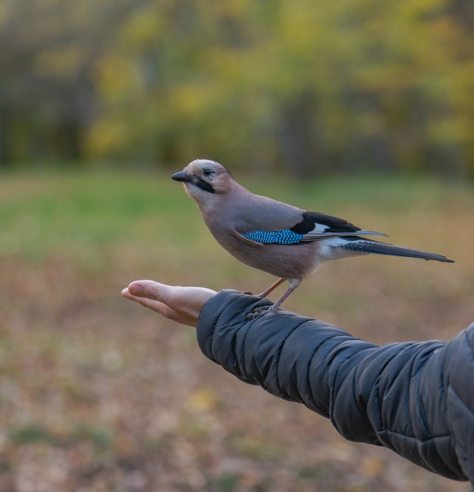 Photograph by Константин Яковлев