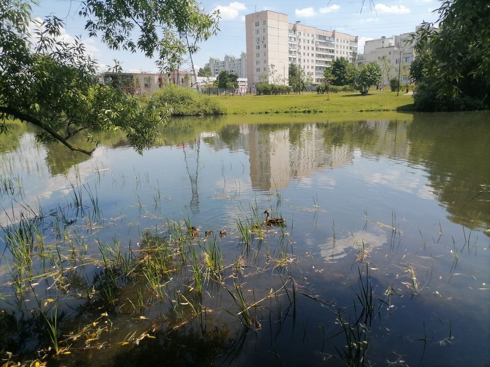 Фотография автора Ольга Шабалина