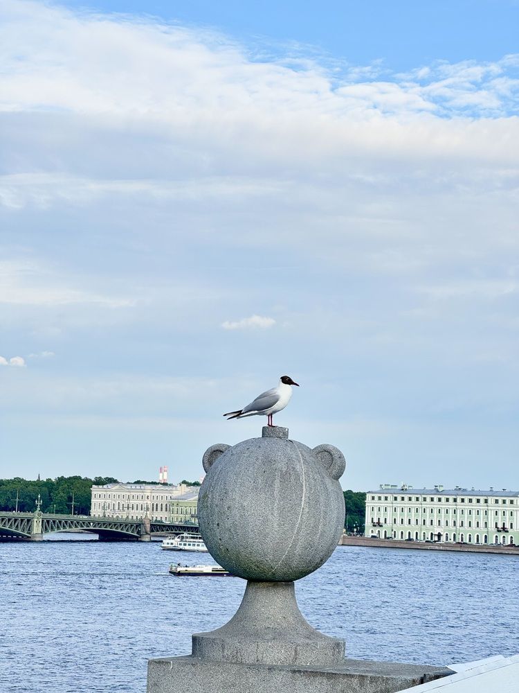 Photograph by марина