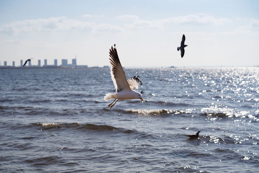 Photograph by Наталья Коржова