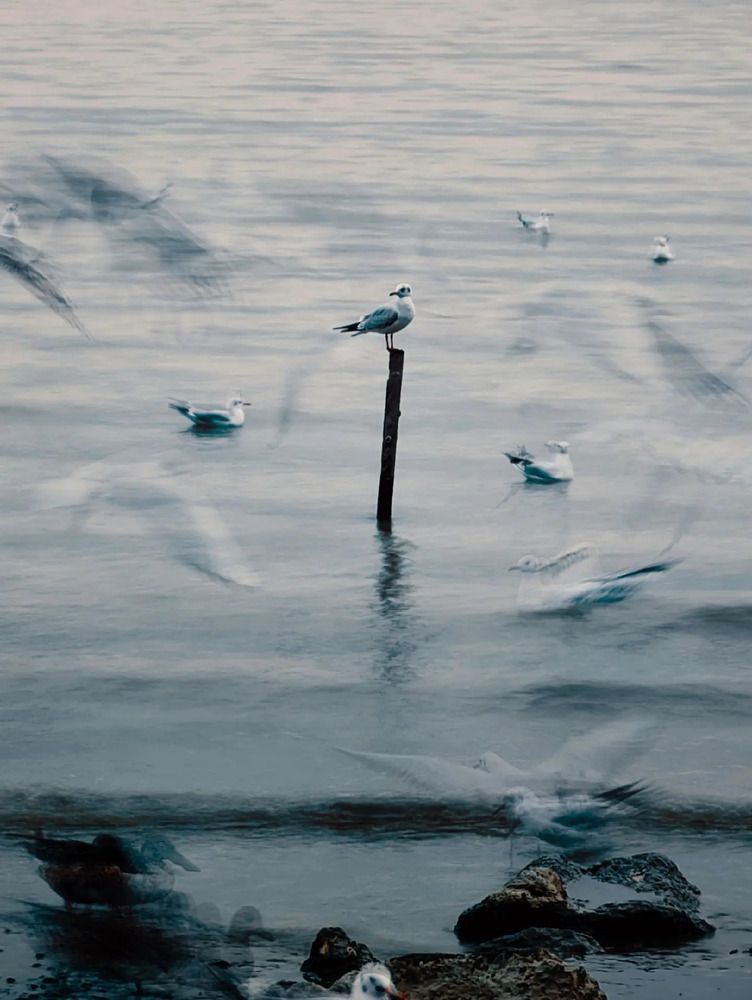Stillness