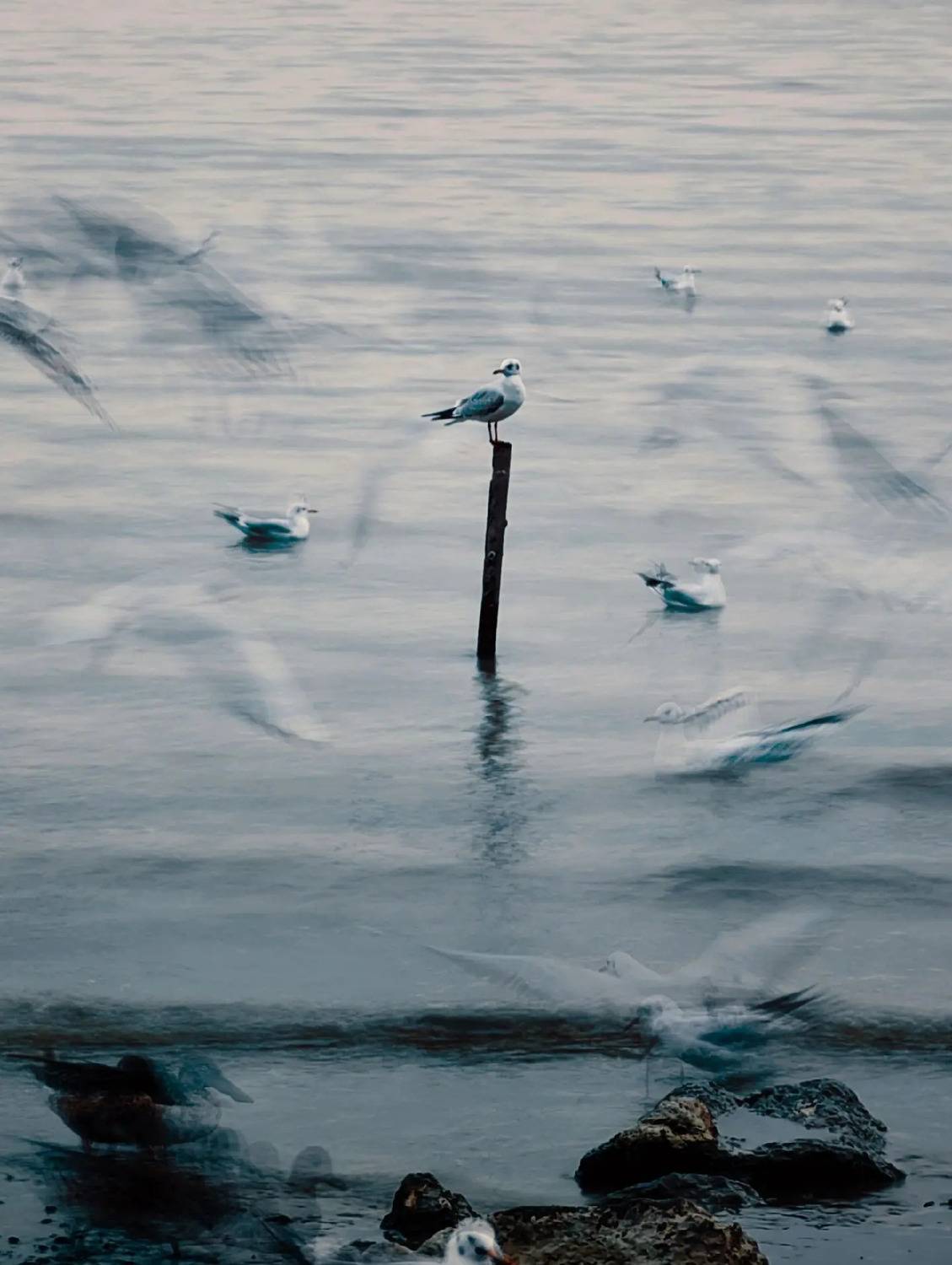 Stillness