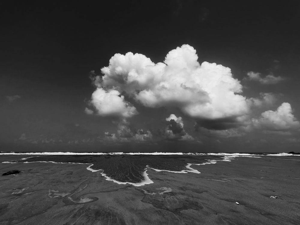 Photograph by Tanaya Manohar Dhuri
