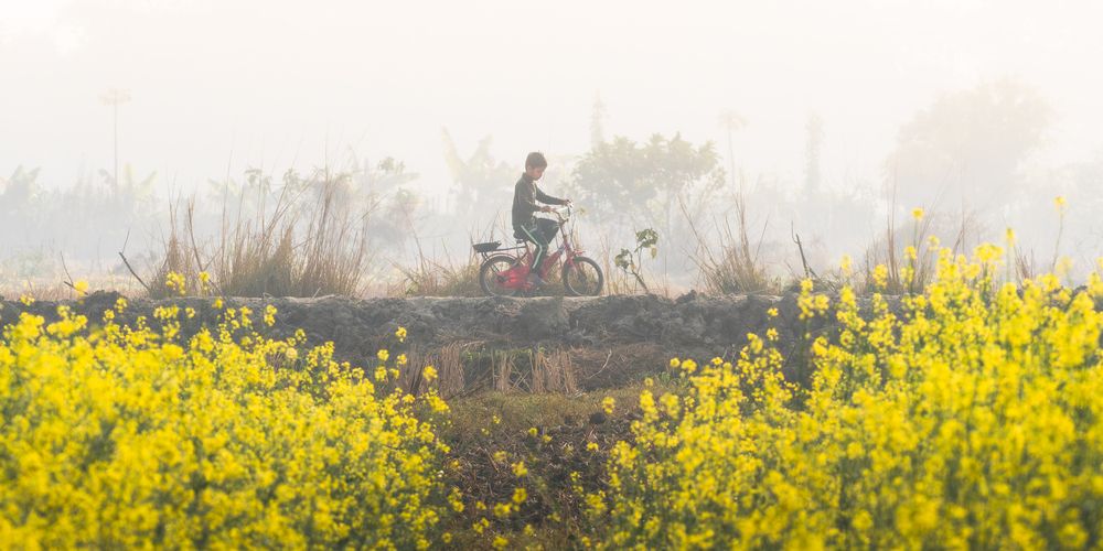 Photograph by Jit Roy