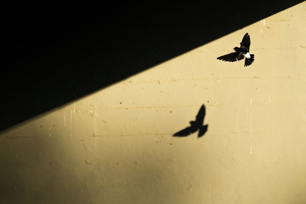Photograph by Enikő Kálovics