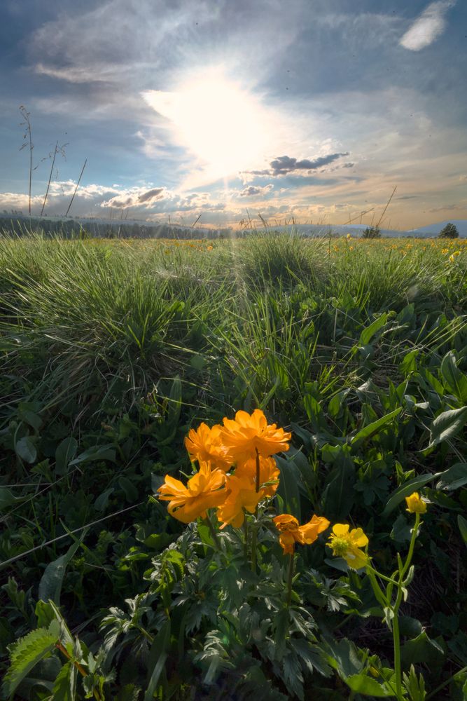 Photograph by Руслан Нигматуллин