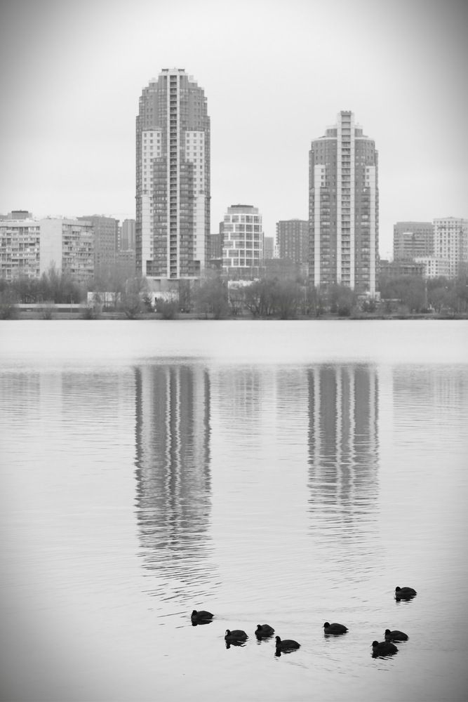 Фотография автора Мартынова Ника