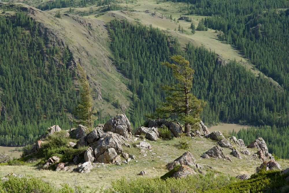 Photograph by Руслан Нигматуллин