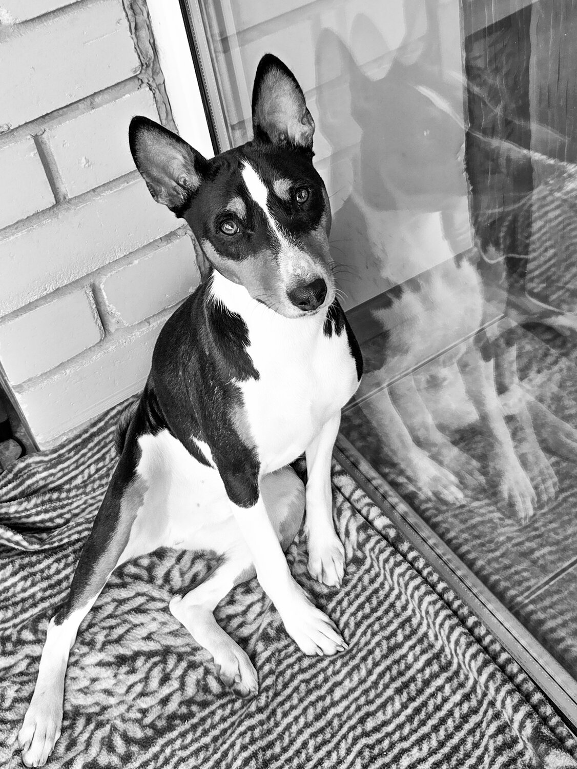 Photo #13688621