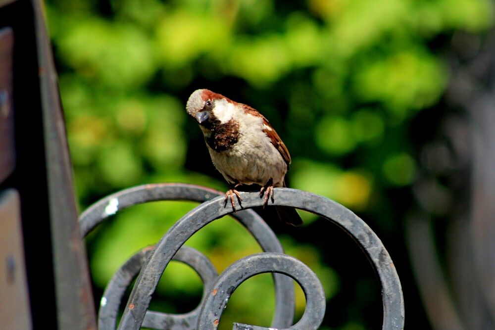 Photograph by Дмитрий Симагин