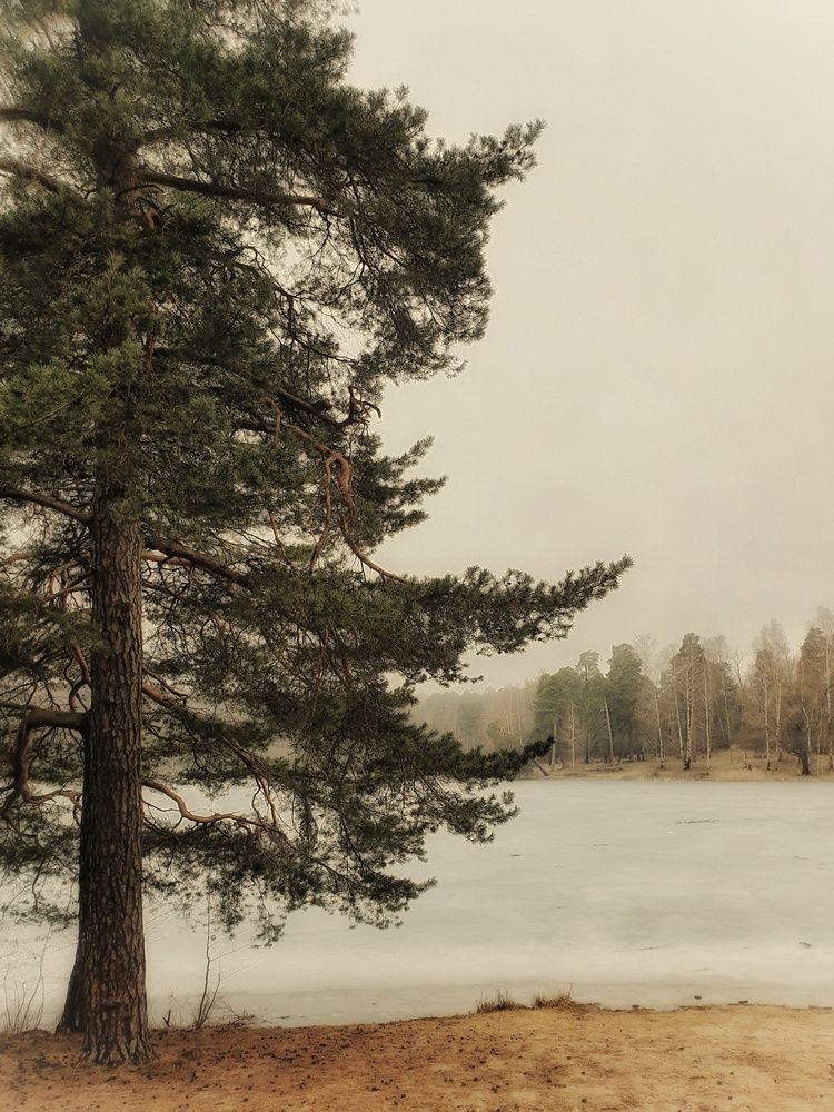 Photograph by Екатерина Народицкая