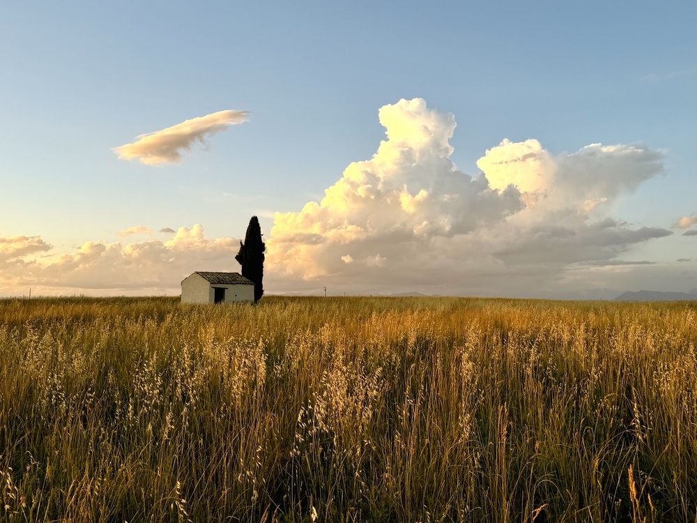 Photograph by Marina Odintsova