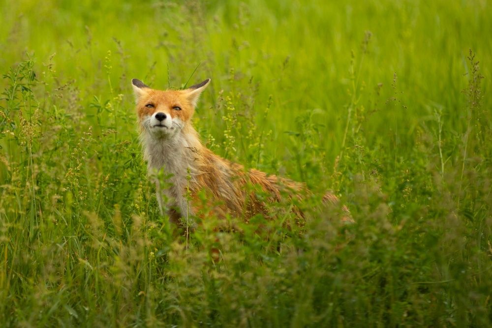 Photograph by Denis Blokhov