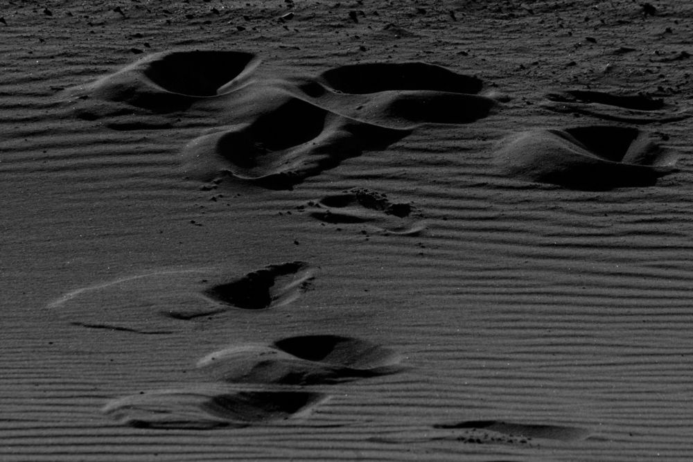 Photograph by Faten Aouini Ben Ahmad