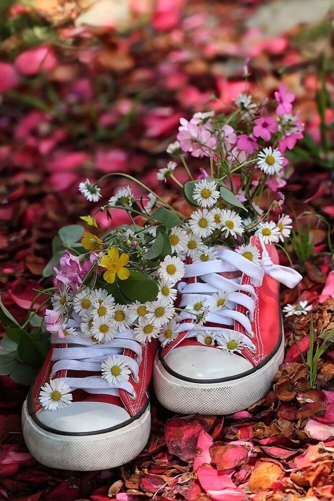Photograph by Tofan Camelia