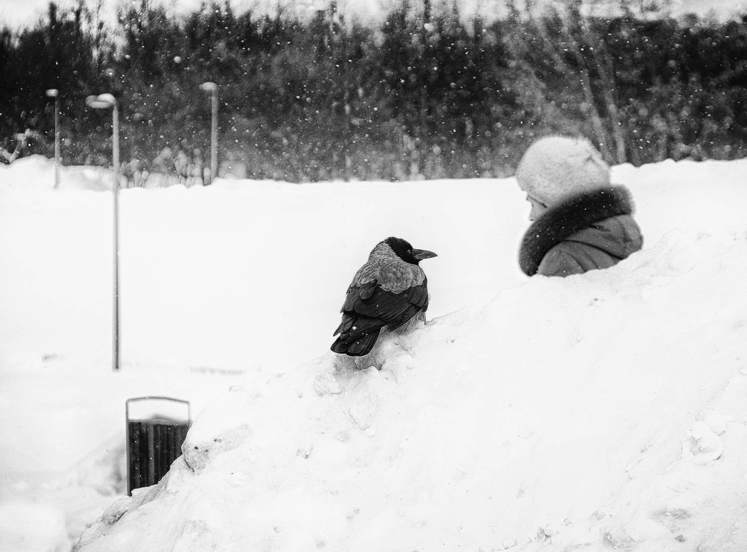 Photo #13688758