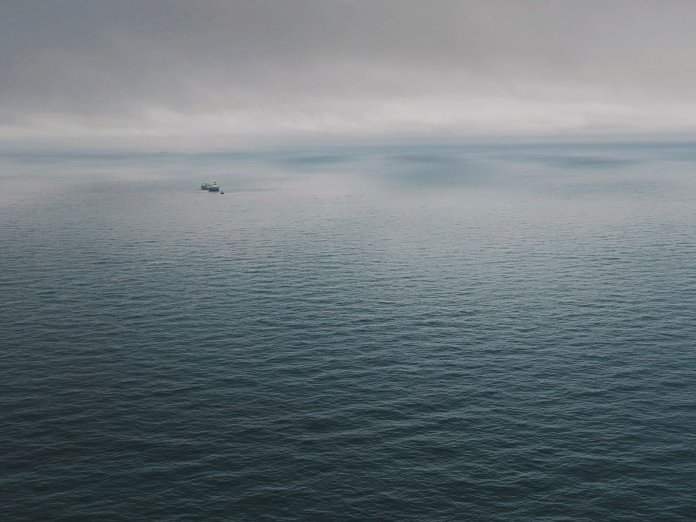 Photo #13688769