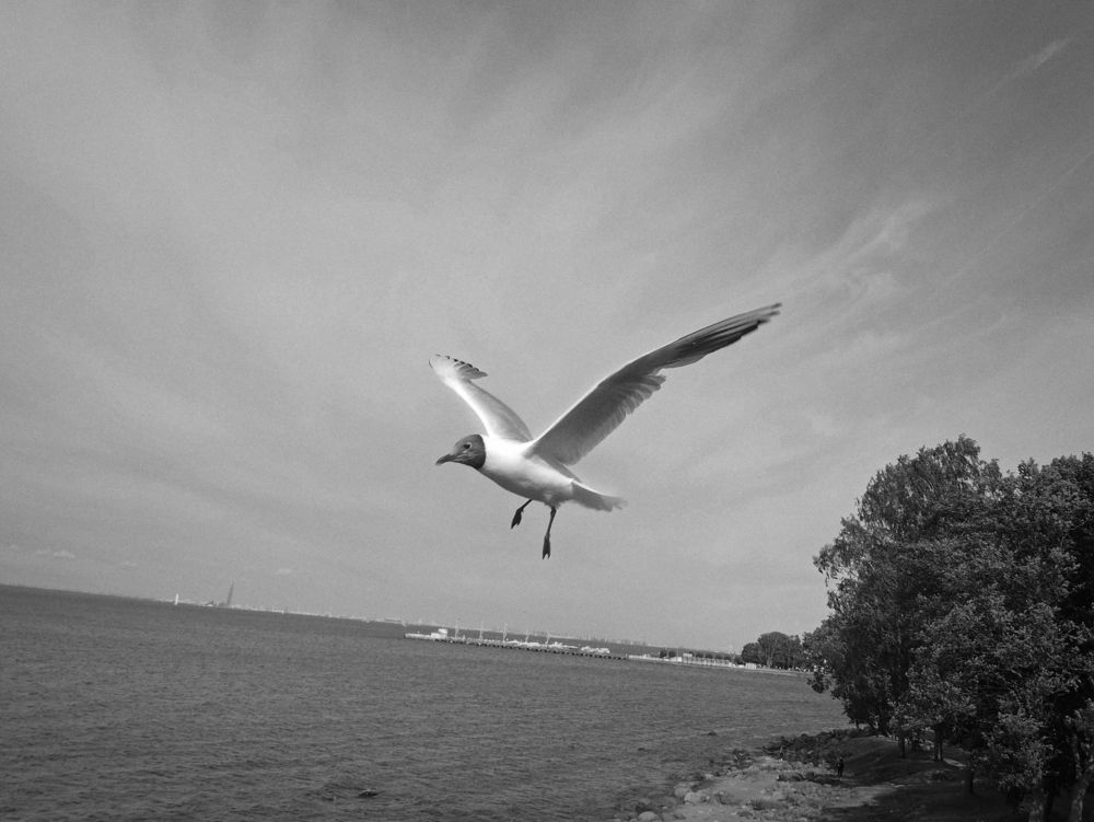 Photograph by Марианна Браун