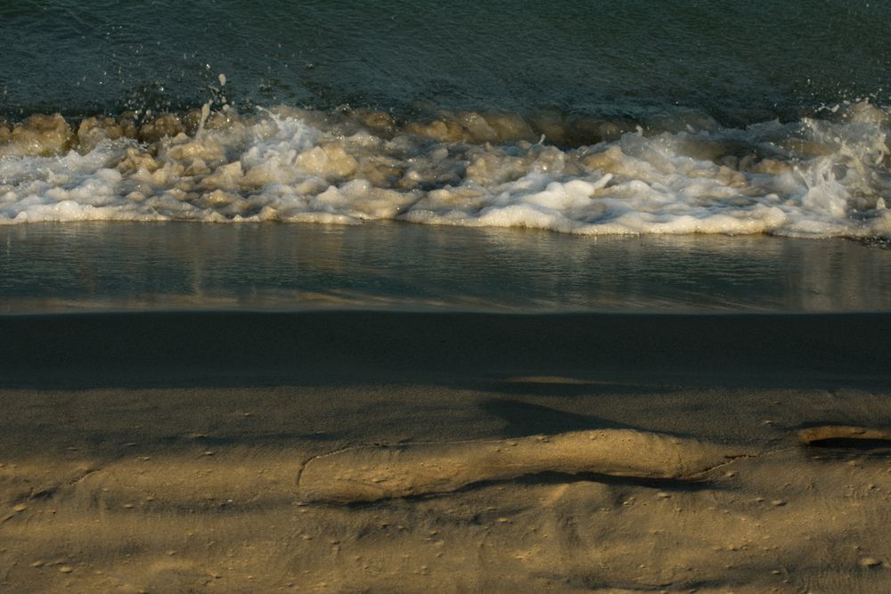 Photograph by Faten Aouini Ben Ahmad