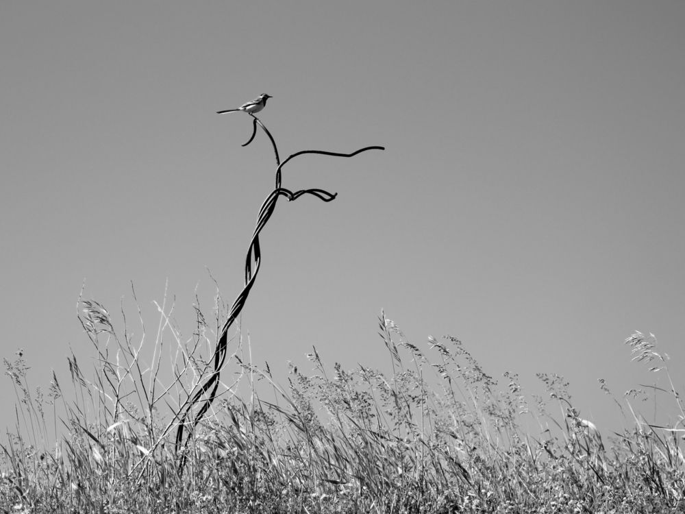 Photograph by Марианна Браун
