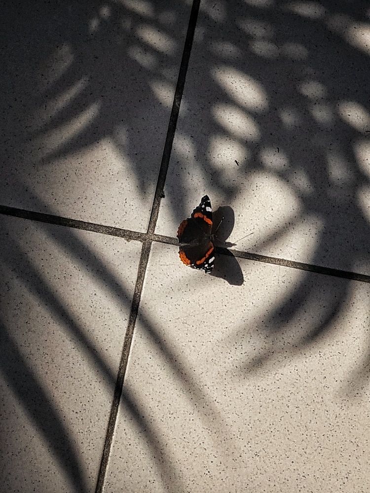 Photograph by Екатерина Народицкая