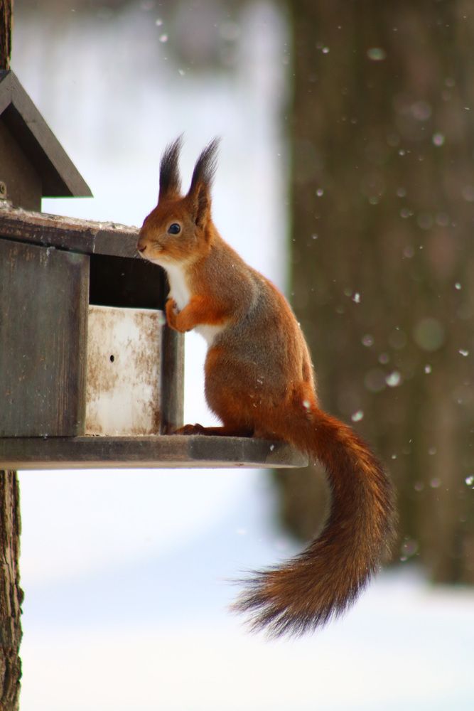 Photograph by Светлана Шуткова