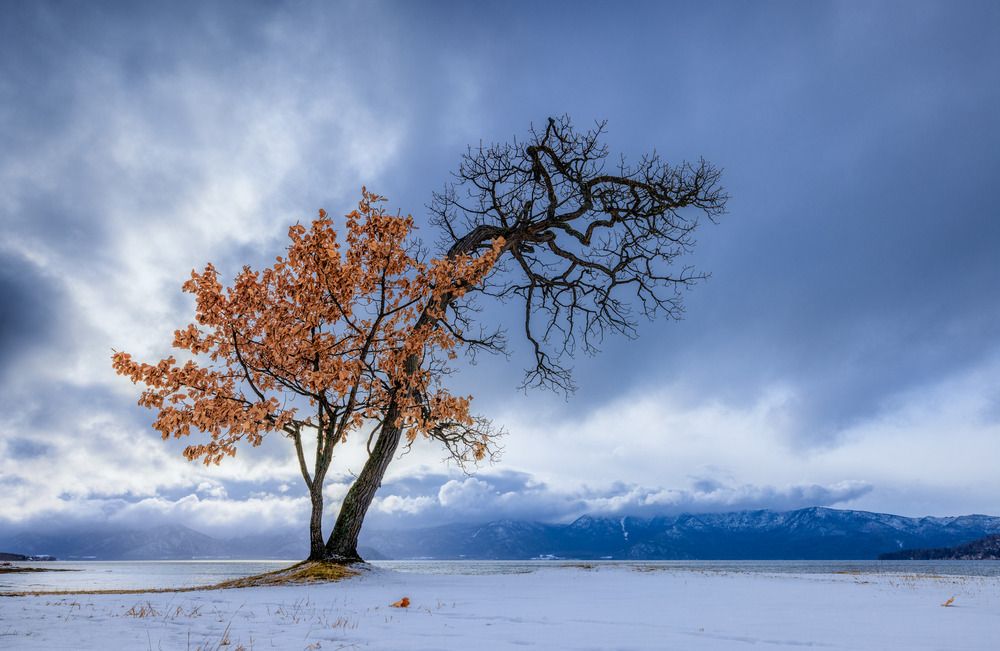 Photograph by Anh Chiem Nguyen