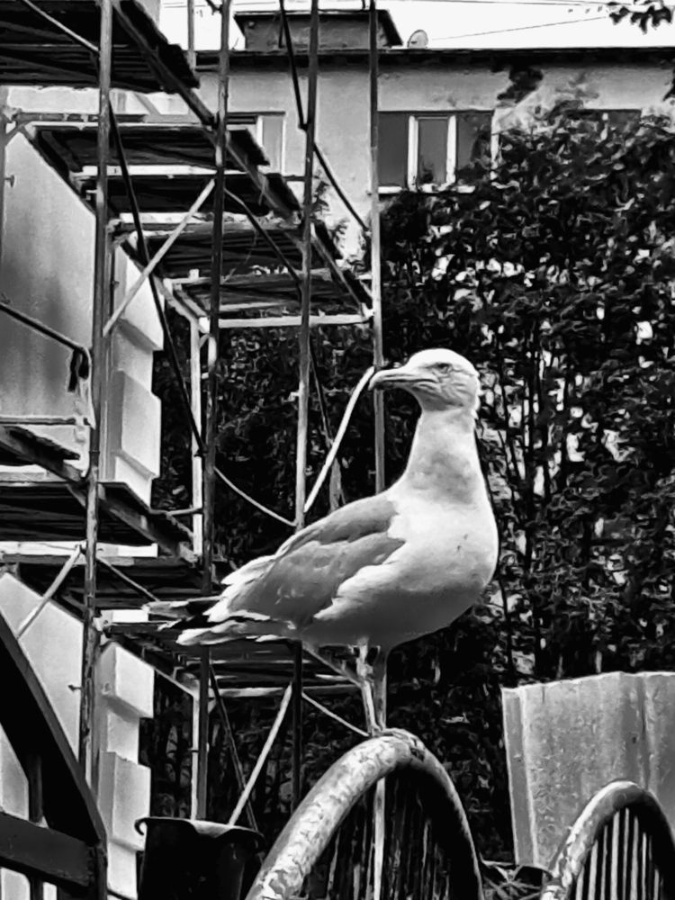 Photograph by Мила