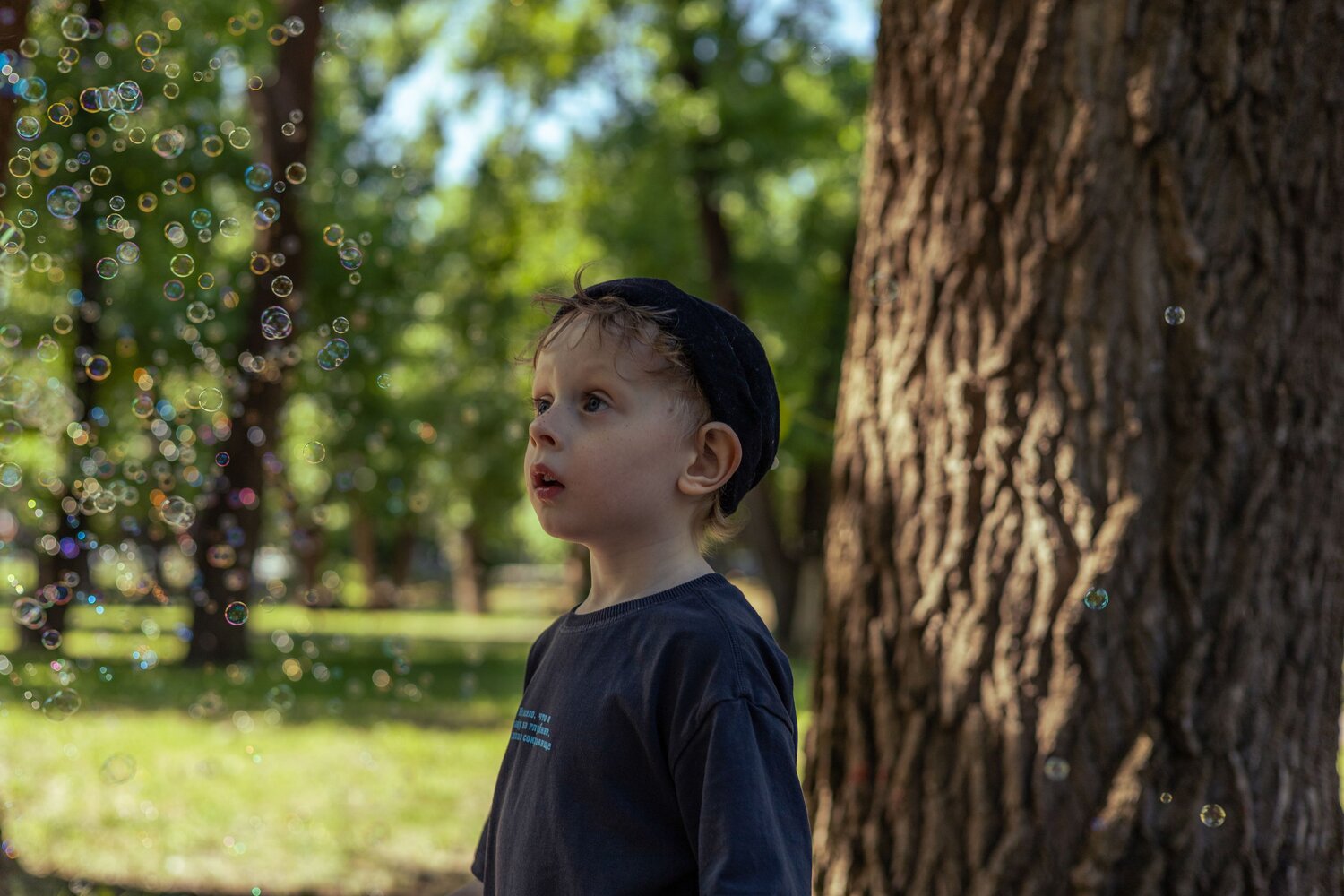 Photo #13688996