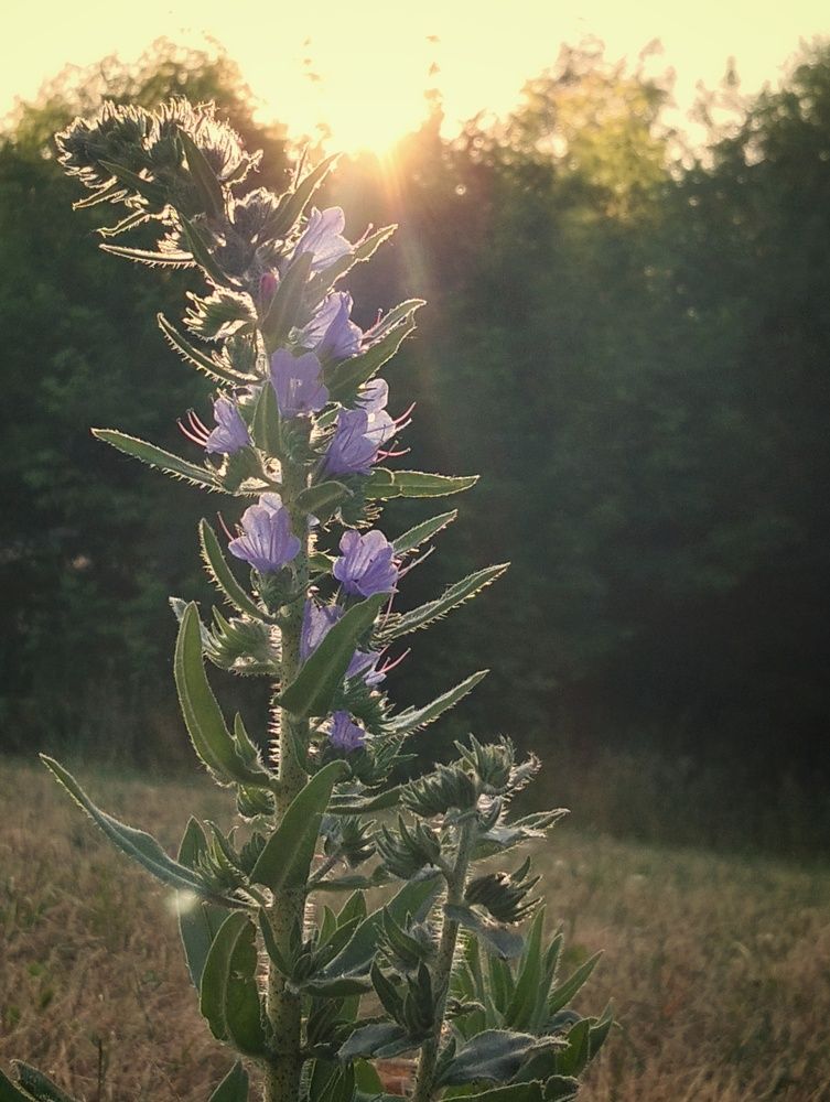 Photograph by Юлия Урюпина