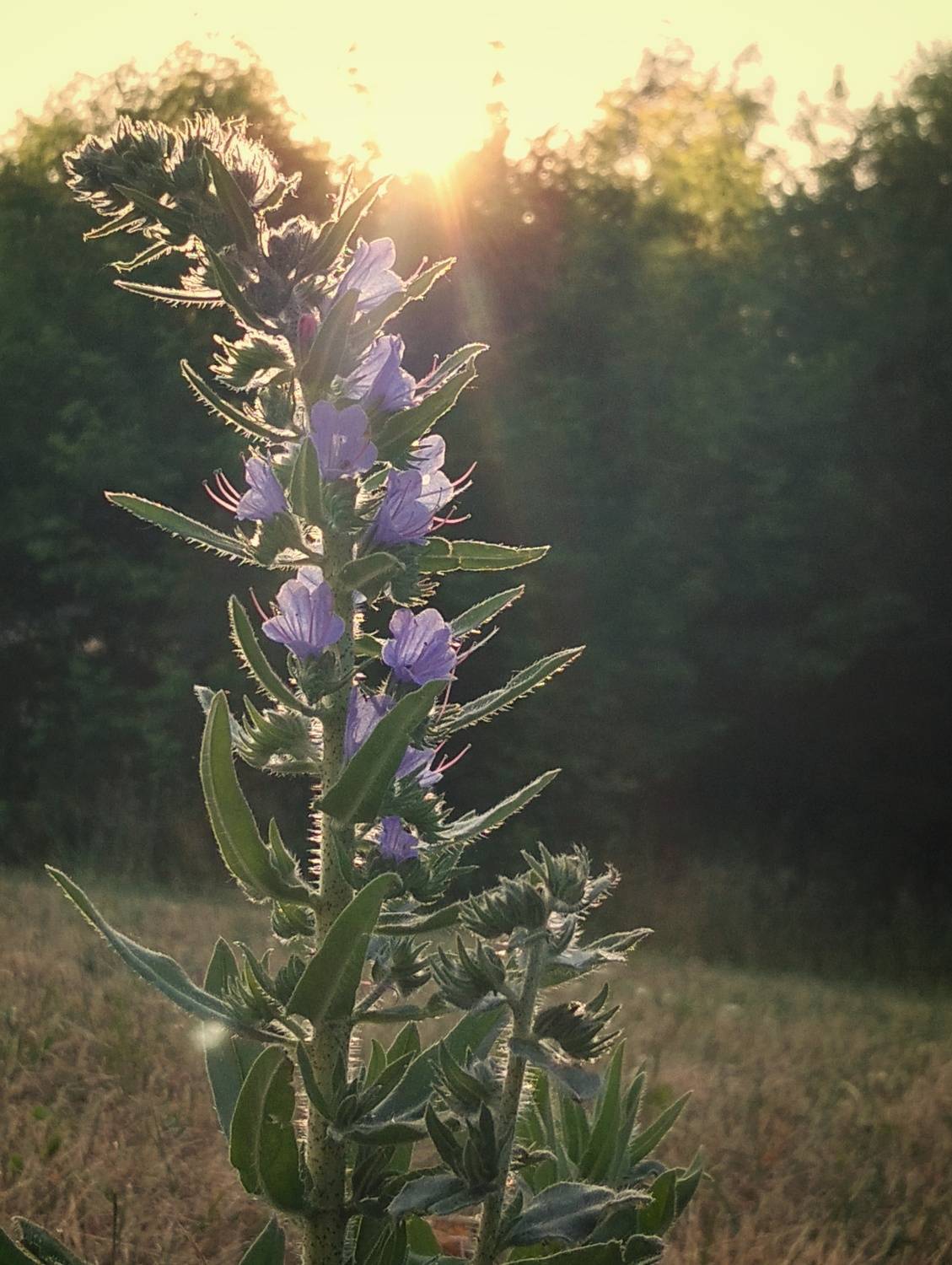 Photo #13689004