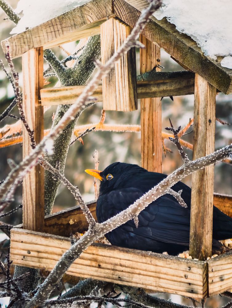 Photograph by Максим Симанчук