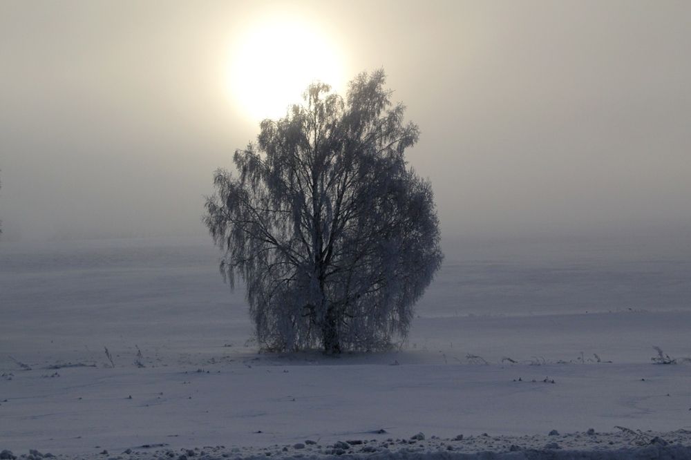 Photograph by Людмила Таерова