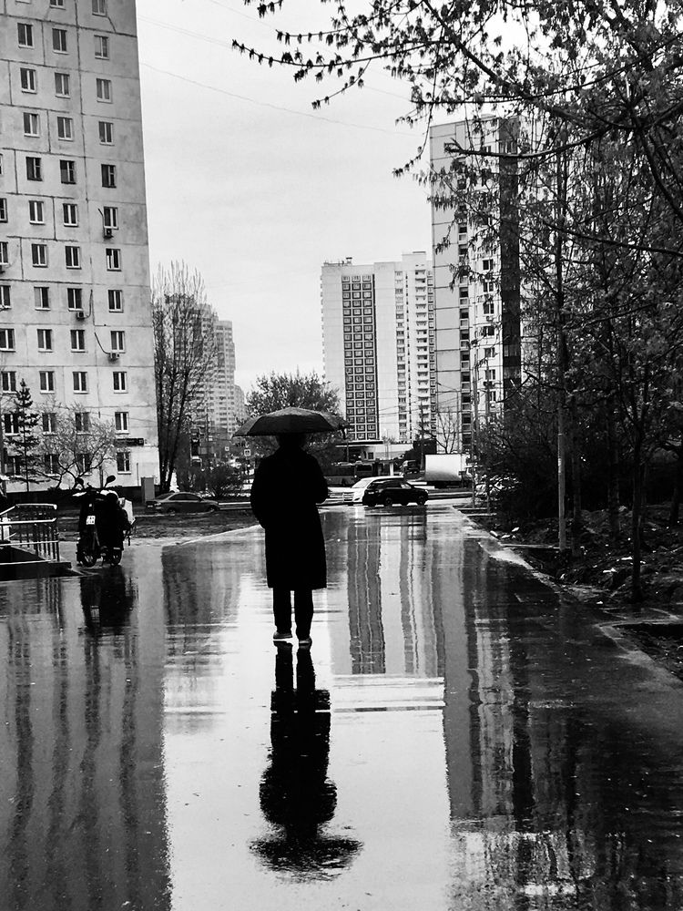 Photo #13689043