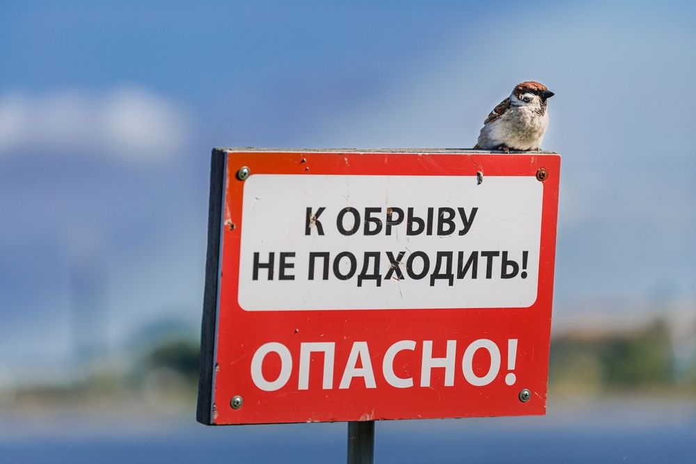 Фотография автора Анна Васильева