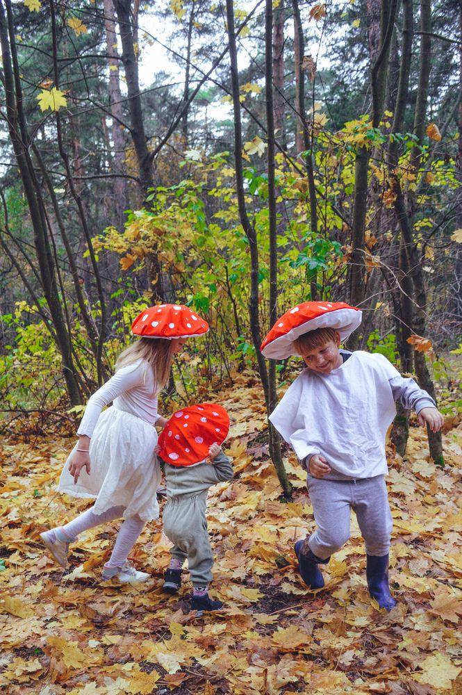 Photograph by Алёна Митькина