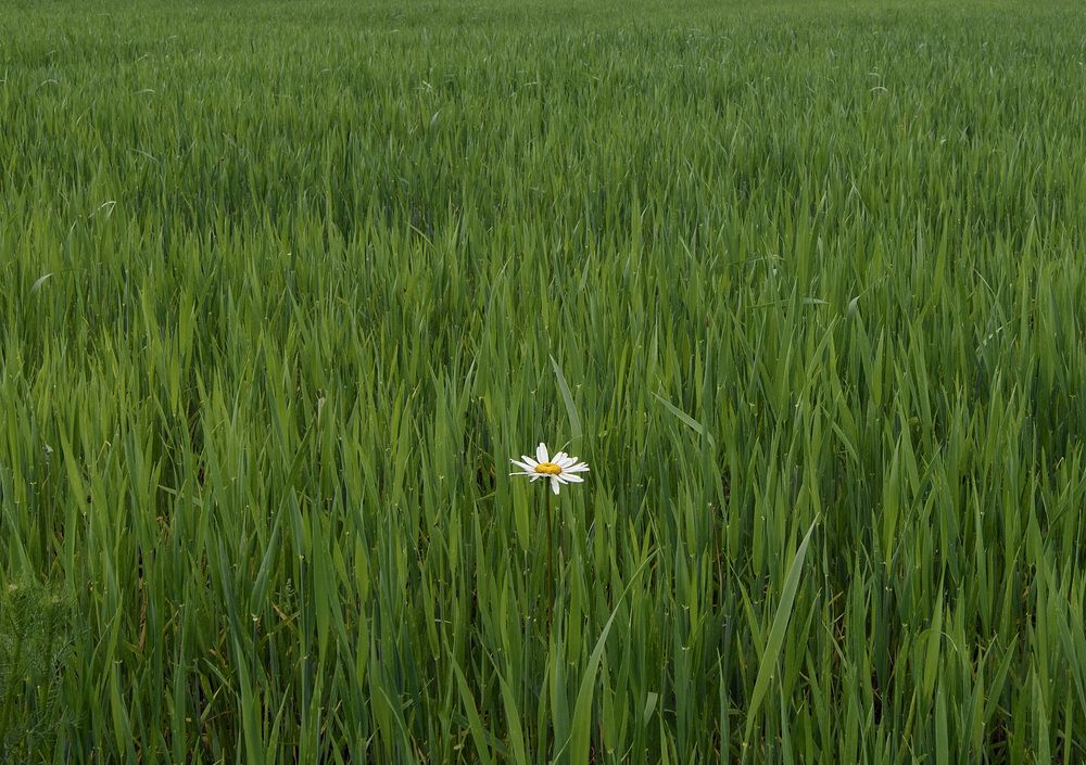 Photograph by Евгений