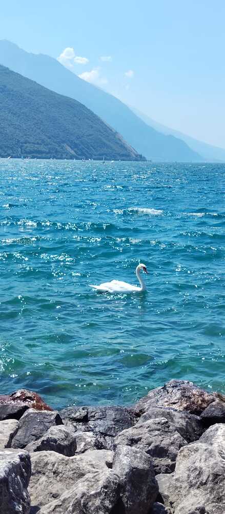 Photograph by Pal Riya