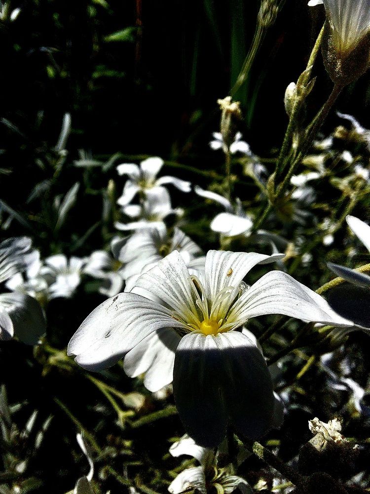 Photograph by Natali Crys
