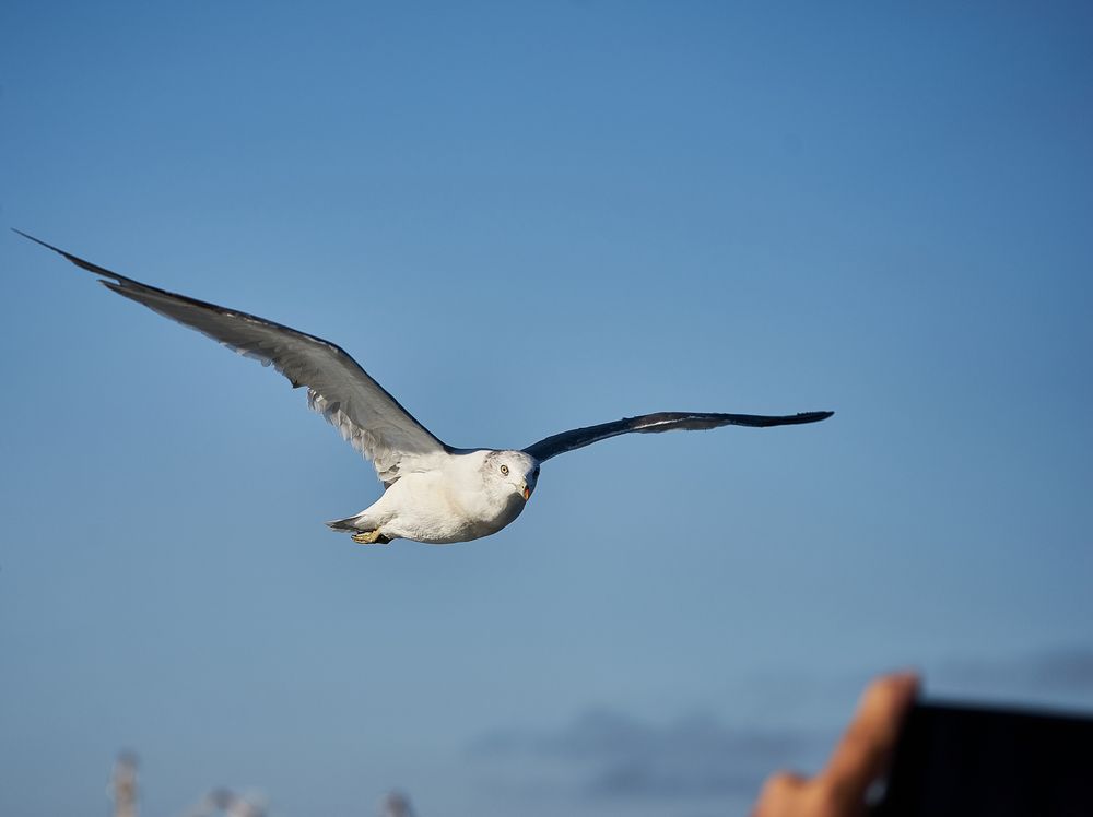 Photograph by Лариса Н