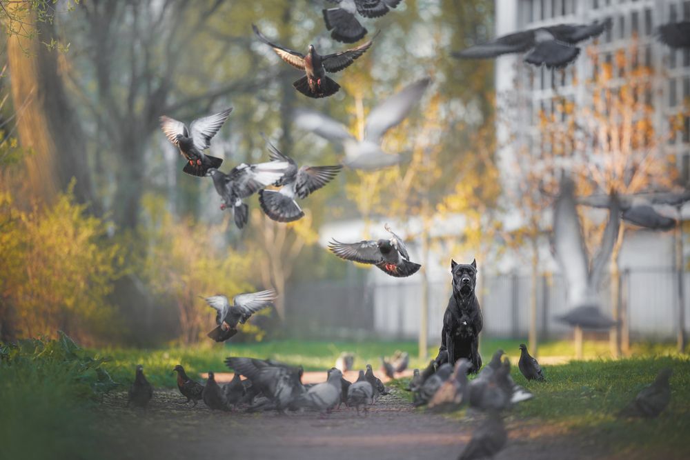 Photograph by Яна Нарбутович