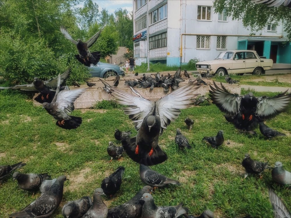 Photograph by Мария Самохвалова