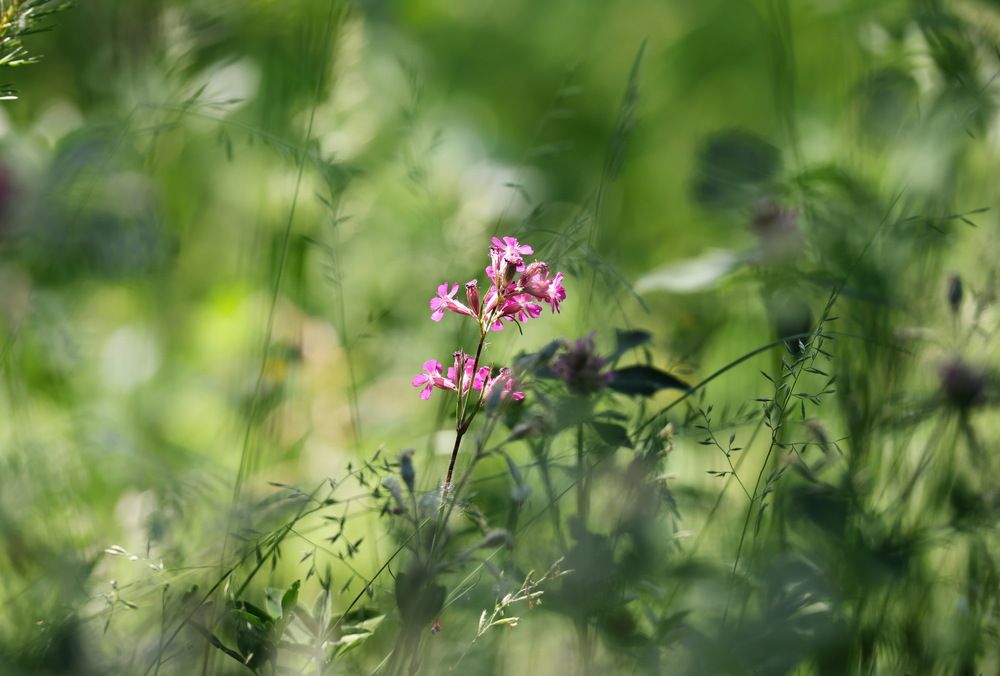 Photograph by Ольга