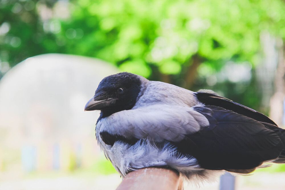 Photograph by Евгения Сенченко